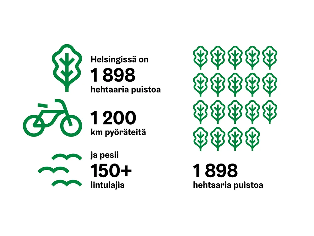 Detail of infographic in guideline.