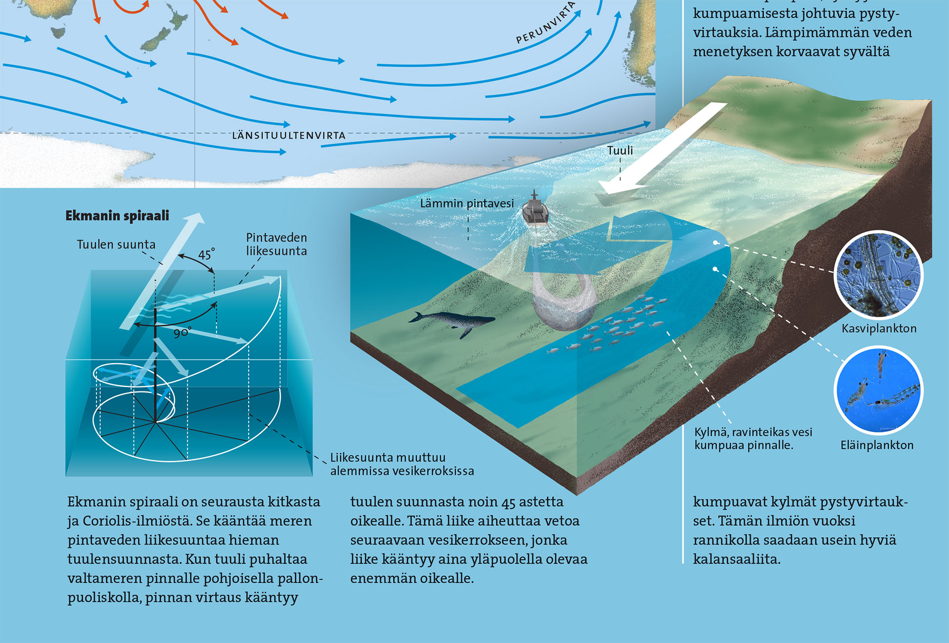 Close-up of infographics explaining ocean currents.